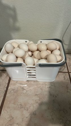 Huevo. Fresco Orgánico En Venta