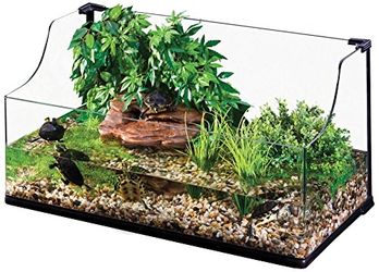 Large Exo Terra Bent Glass Terrarium With Stand 