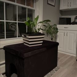Large Black Velvet Cat Litter Box & Bench
