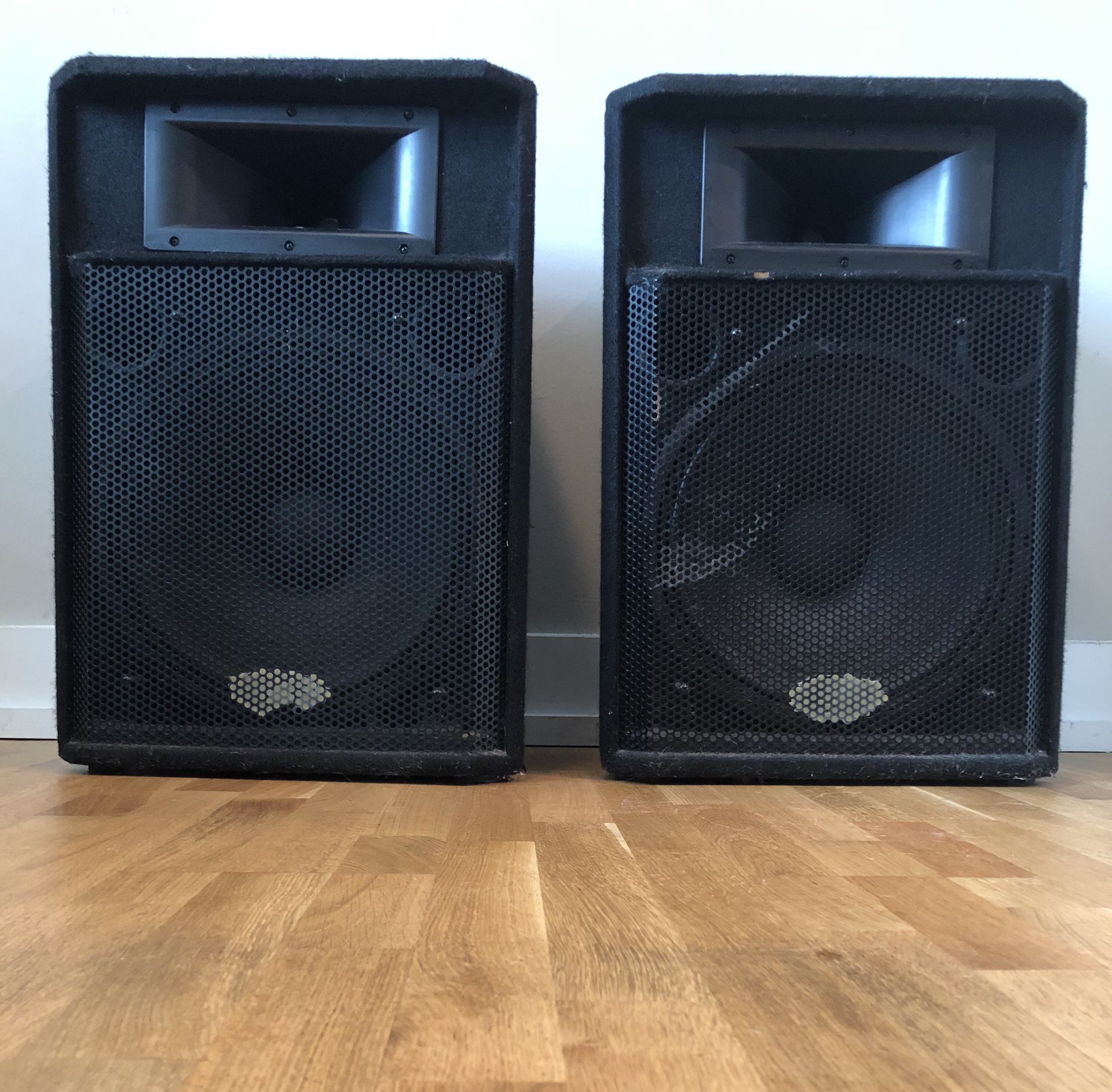 15 inch PA Speakers