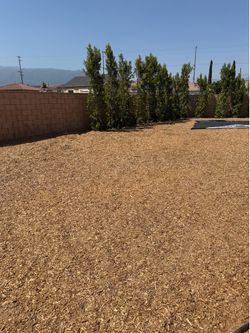 Playground Mulch