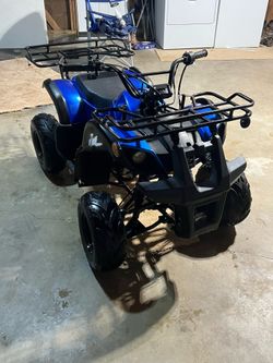 2020 tao tao quad