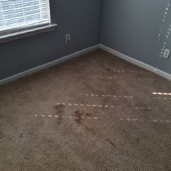 Se Lavan Alfombras De Casas