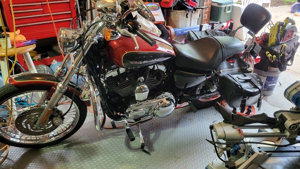 2007 Harley Davidson Sportster 1200 custom xl