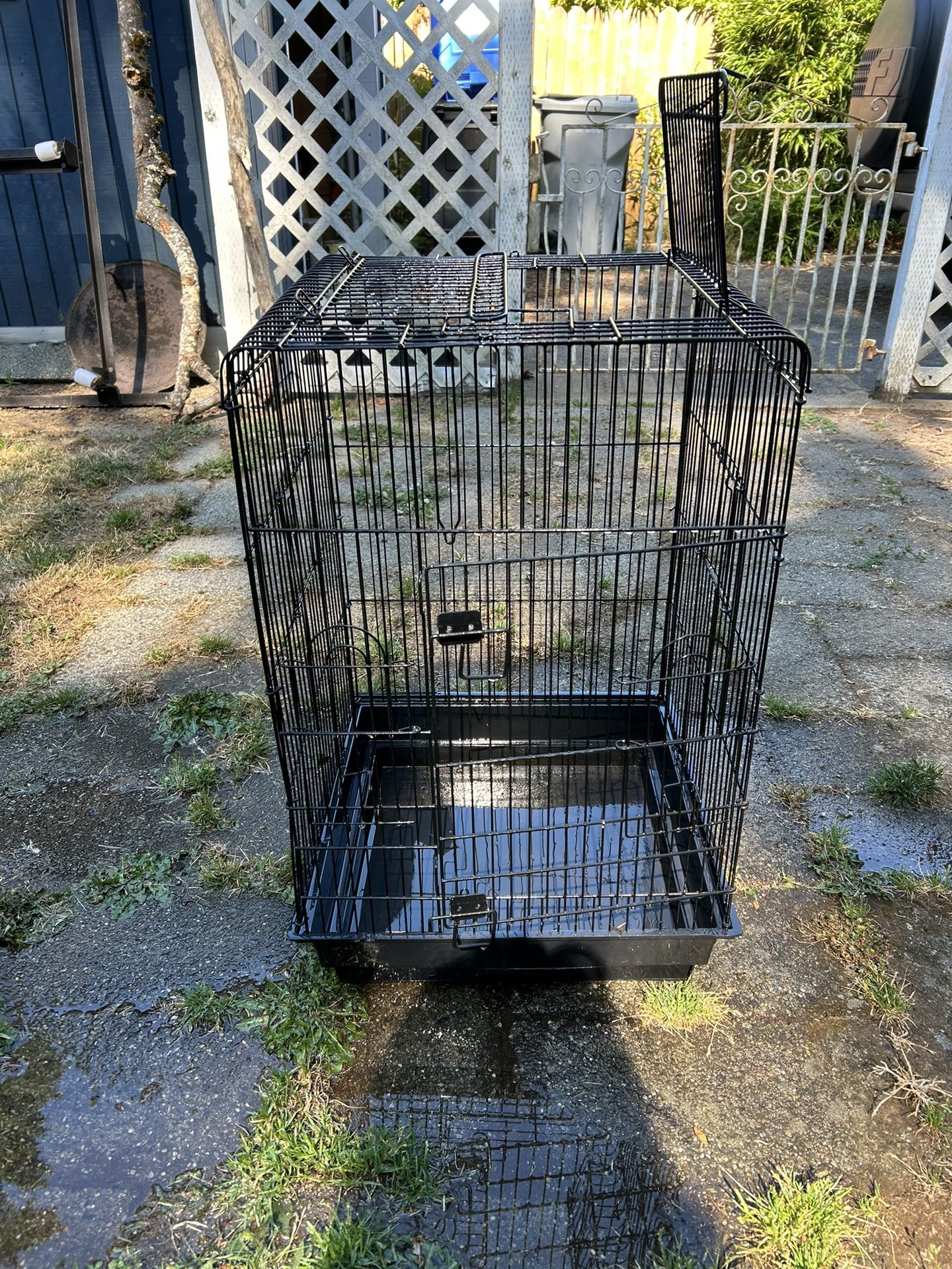 Free Bird Cage