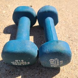 5lb Weights - BLUE
