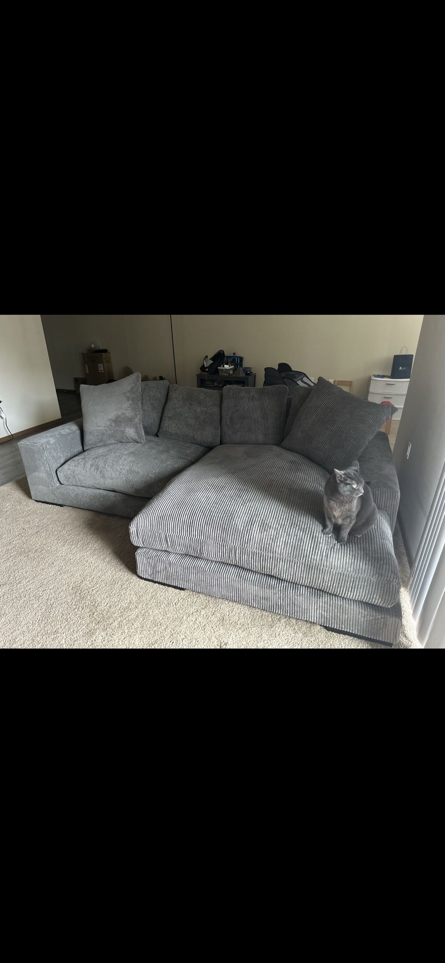Grey Couch Comfortable