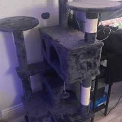 Cat Tree 