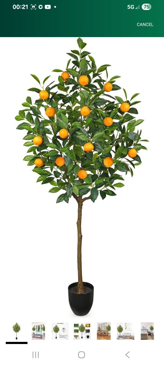 (2) Artificial Orange Tree 5ft Fake Citrus Fruits Plant in Pot BUNDLE DEAL