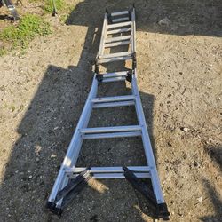Folding Ladder 