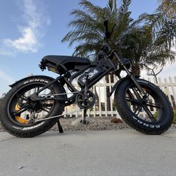 Electric Bike
