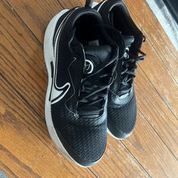 Nike Court Zoom Pro 9.5