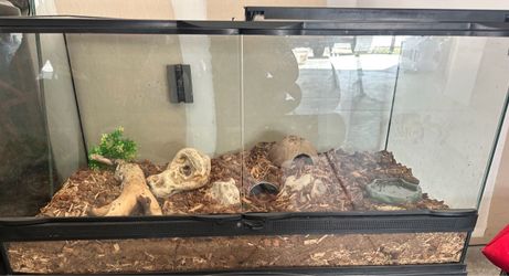 Large Glass Reptile Terrarium with Accessories