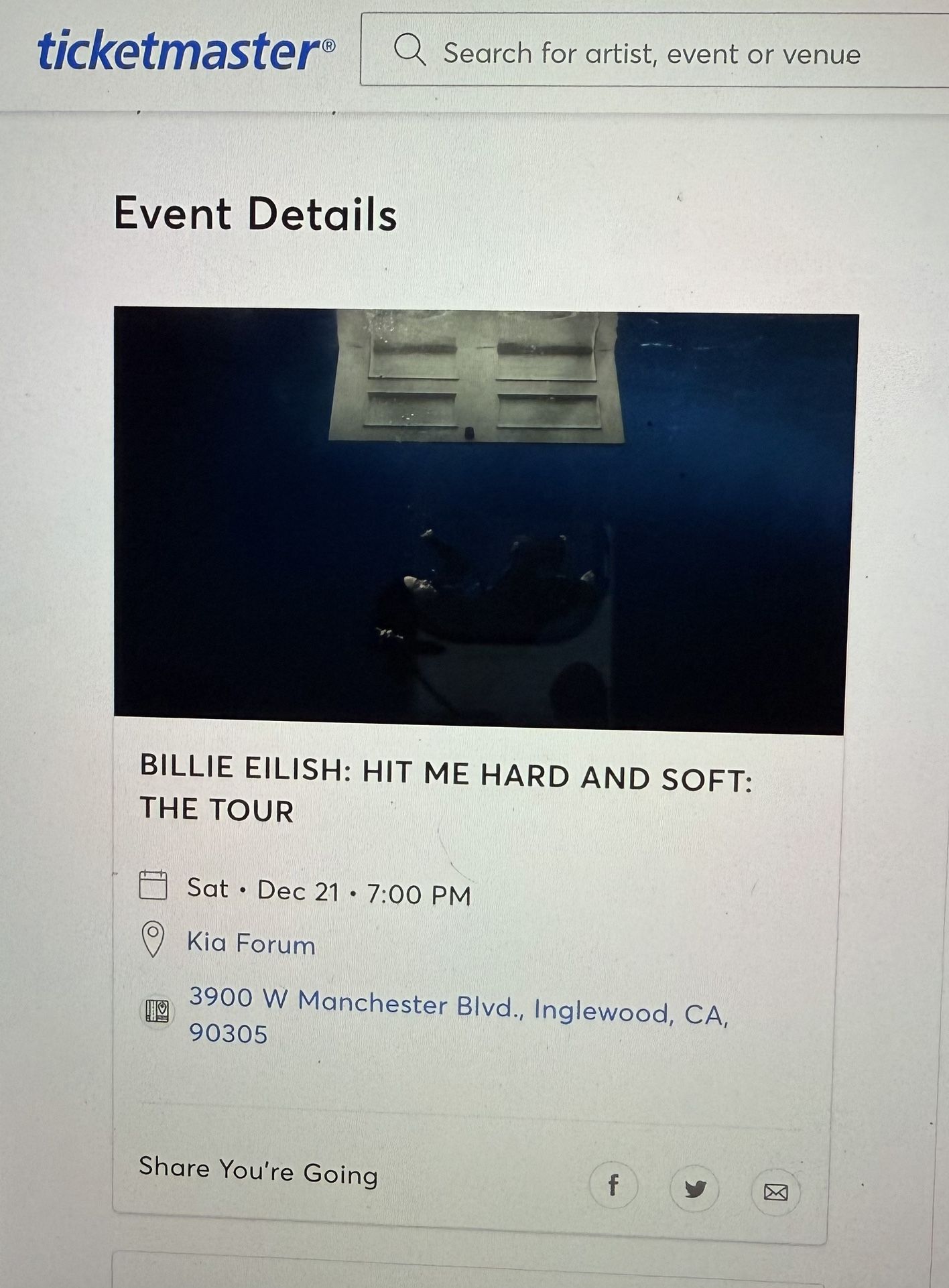 Billie Eilish Hit Me Hard And Soft Tour (Floor)