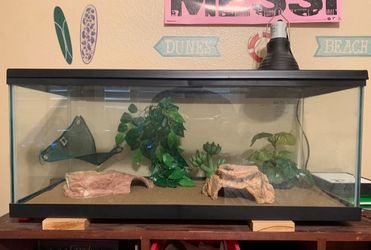 Gecko Enclosure