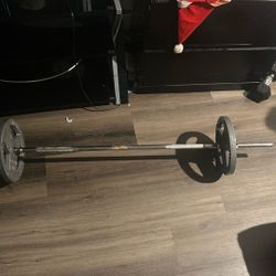 Barbell & Plates & Two 15 Pound Dumbbells 
