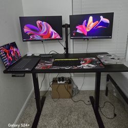 Monitors - 24 Inches