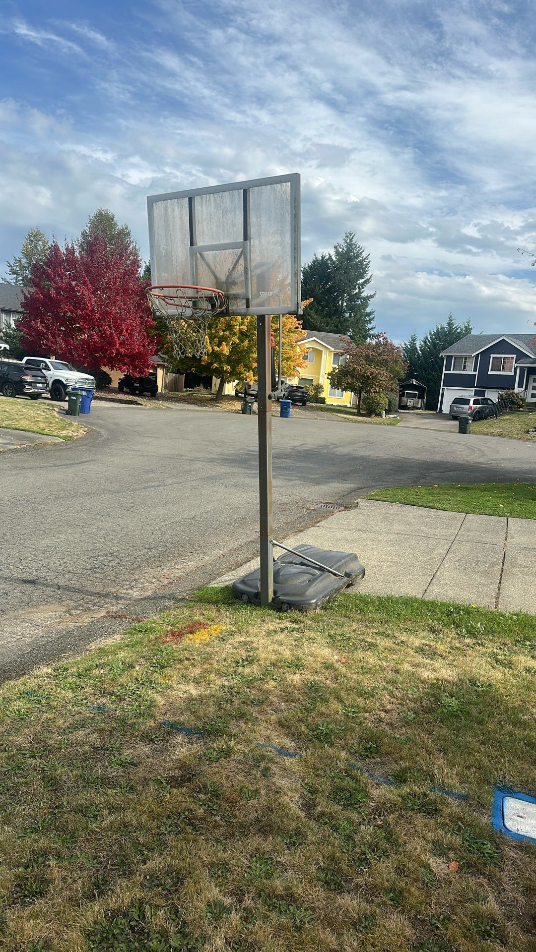 Free Adjustable Basket Ball Hoop. 