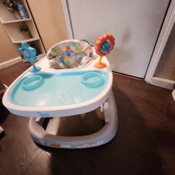 Baby Walker 