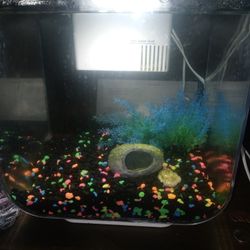 small fish tank & Pecera Pequeña 