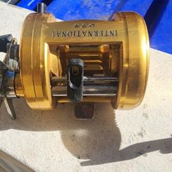 Daiwa Ardito, Penn 955, Lexa 300HS