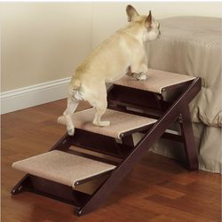 Pet ramp  / dog ramp