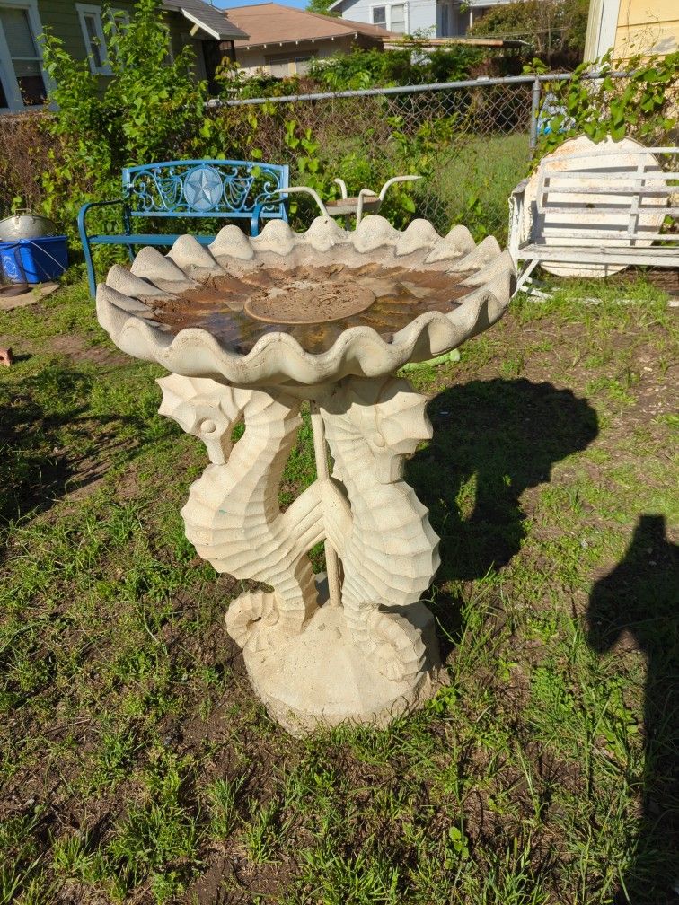 Tri Coastal Seahorse Trio