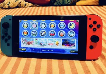 Switch and Mariokart Bundle