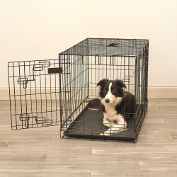 Large dog crate
