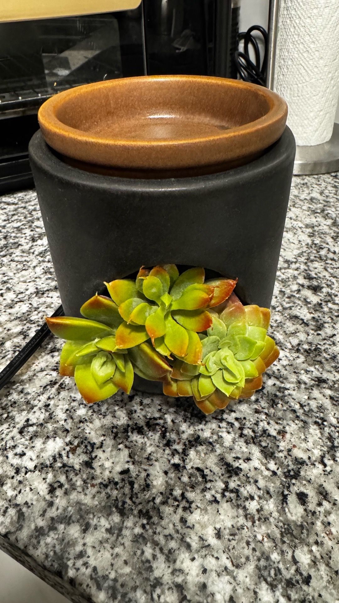 Succulent Wax Warmer