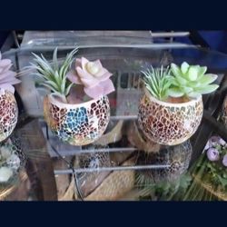 *** REDUCED *** Mini-Mosaics with Polished Stone / Succulents @ Lasting Creations