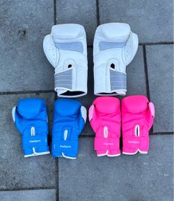 Fight Camp/Hawk Sports Boxing Gloves