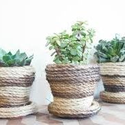 Rope Covered Flower Pots