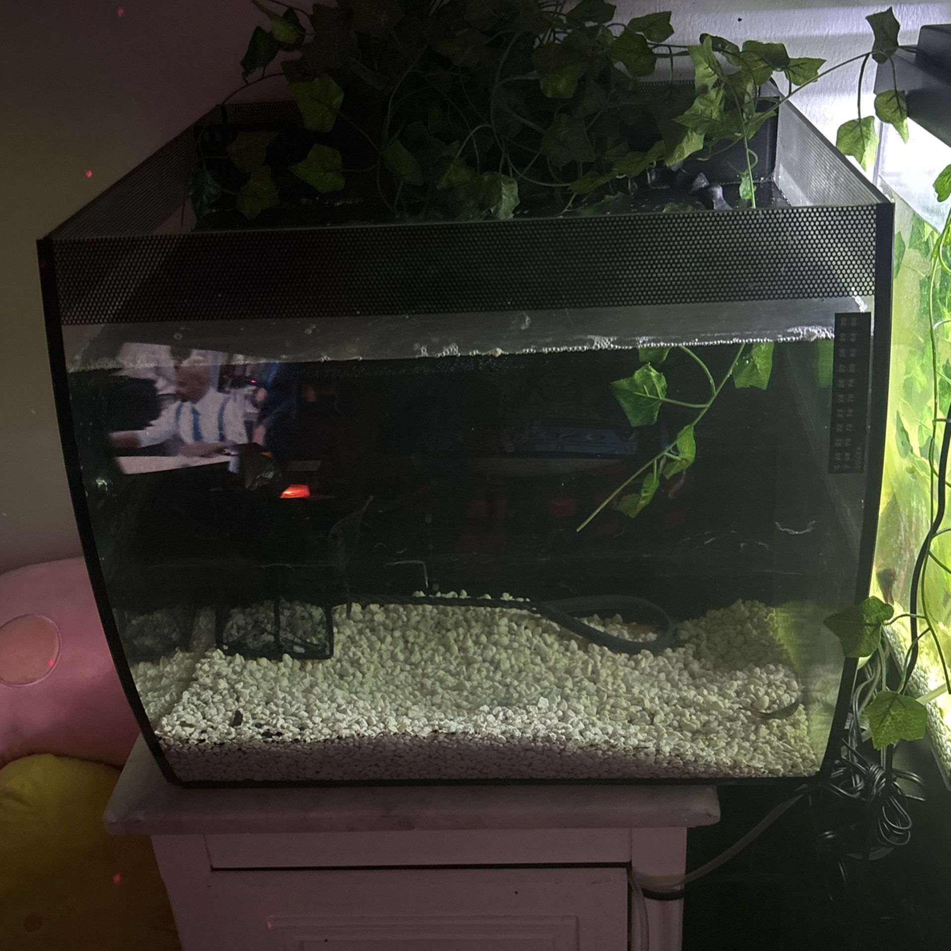 10 Gallon Fish Tank/ Built In Filter