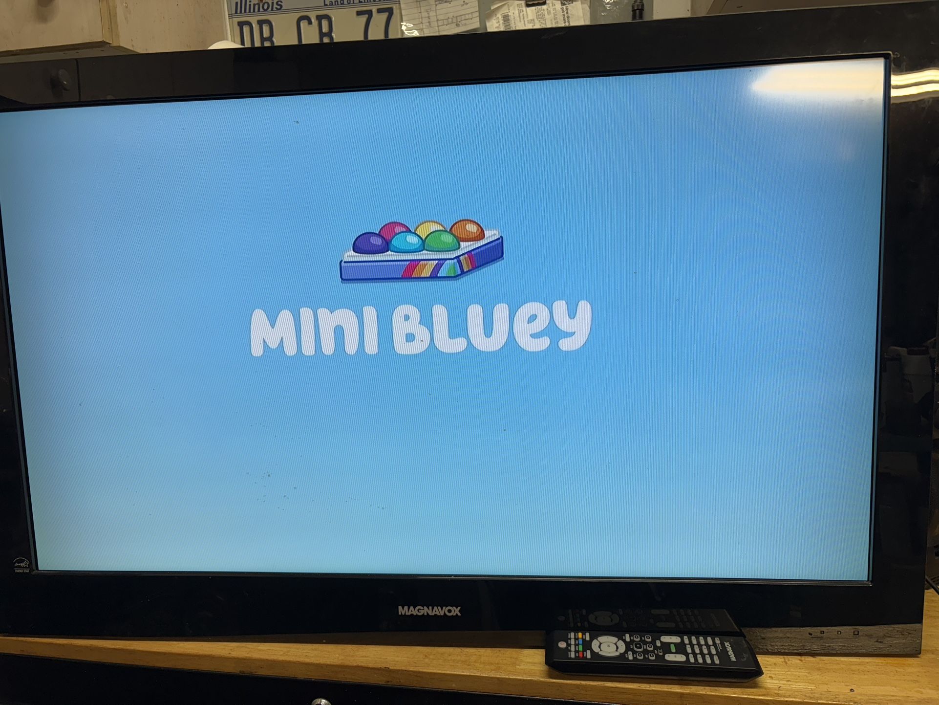 37” Magnavox TV/Monitor