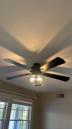 Fan/light