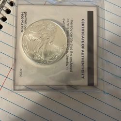 2025 Silver Eagle