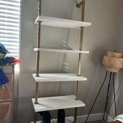 Ladder Book Shelf 