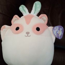 Squishmallows 