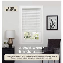 Cordless Morningstar  1’’ Vinyl Mini Blind 