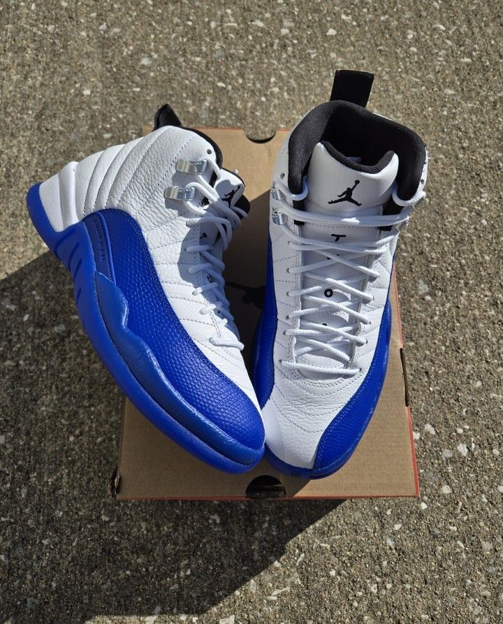 12 Blueberry Blue Velvet Jordan 12 Royal Blue Aj 12 Blue Air