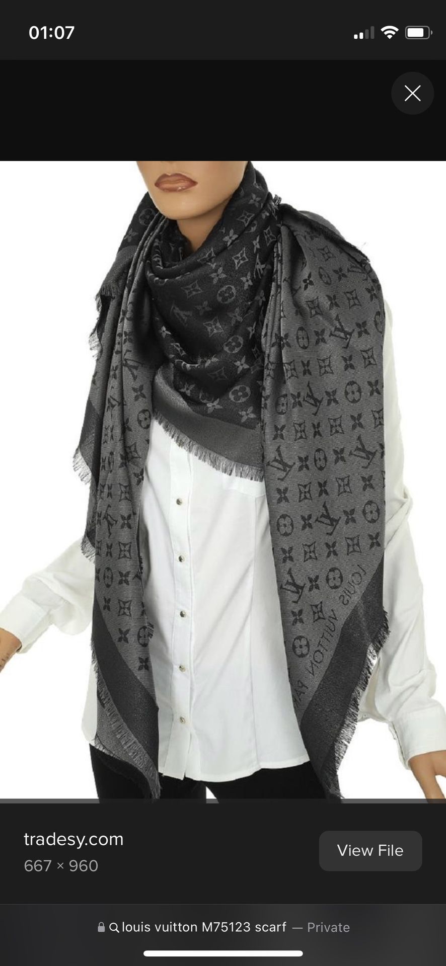 Louis vuitton scarf for Sale in Phoenix, AZ - OfferUp