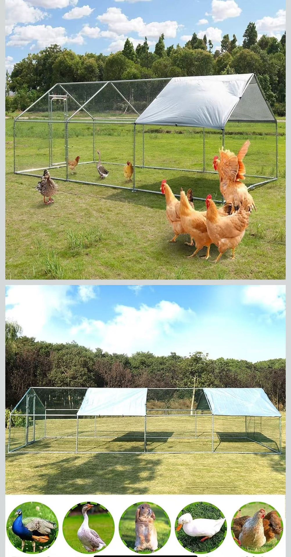 Large metal chicken coop,