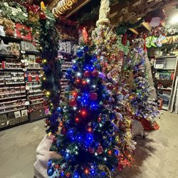 Huge Christmas Tree Collection Must Go 