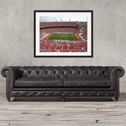 Ohio state framed art 20x30