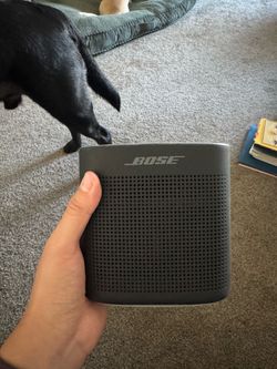 speaker