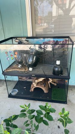 2 Terrarium reptile