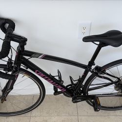 Specialized Dolce Road Bike 48 - Carbon Fork