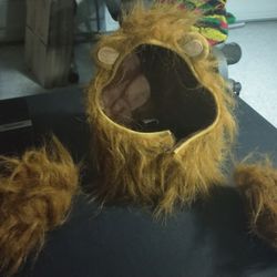 Big Dog Lion Costume