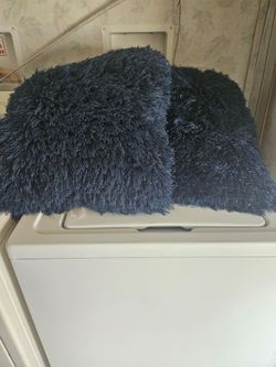 2 couch pillows